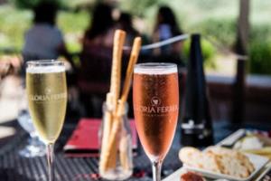 篮球快闪展演惊艳全场，观众连连叫好