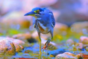 精湛球技助力球队胜利，篮球比赛激情迸发