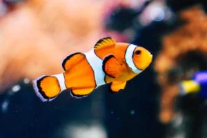 热火卫冕总冠军，全队备战新赛季