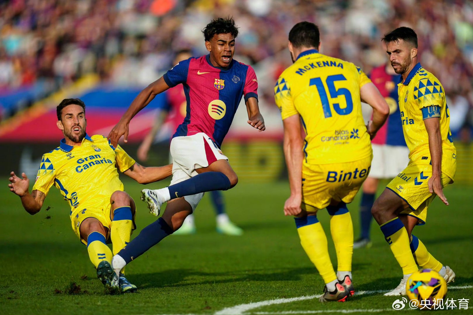 包含雷胡斯主场不敌胜利，遭遇连败的词条