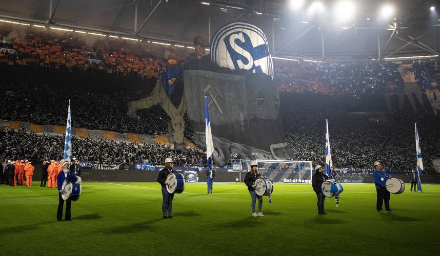 九游体育app-沙尔克在德国足球联赛中获得了胜利