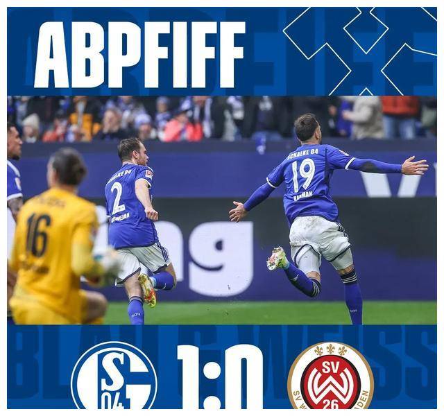 沙尔克在德国足球联赛中获得了胜利 沙尔克在德国足球联赛中获得了胜利